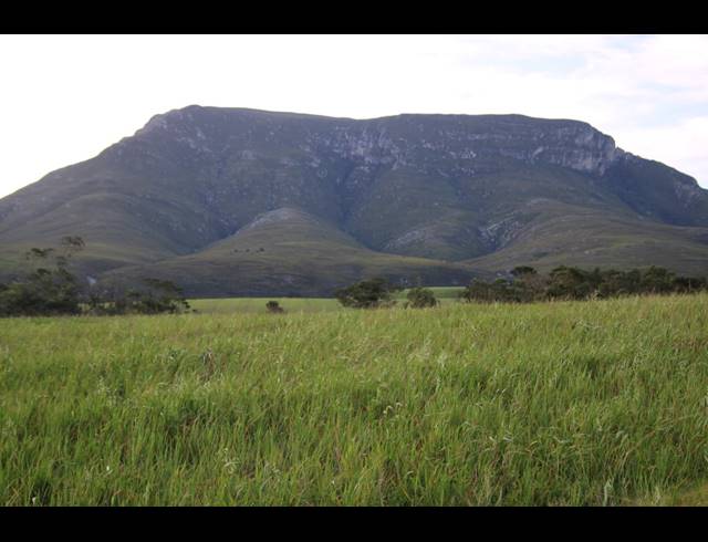 814HA FARM FOR SALE IN RIVERSDALE RURAL